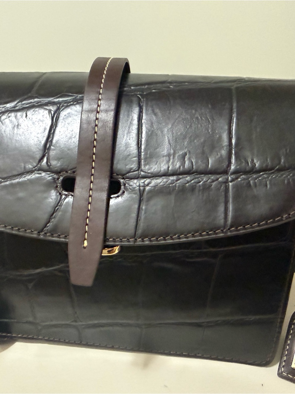 Dooney & Bourke Dark Brown Croc-Embossed Leather Crossbody with Gold Hardware - Picture 3 of 5